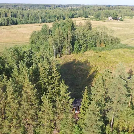 Viking House In The Tree! Jacuzzi, Sauna,apkure! * Lici (Talsi)