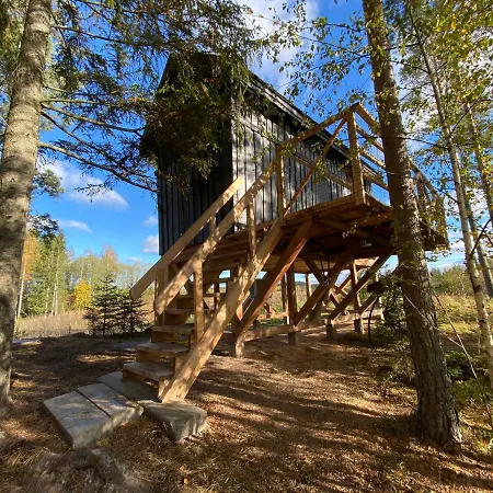 Viking House In The Tree! Jacuzzi, Sauna,apkure! Lici (Talsi)