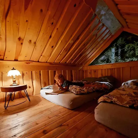 Viking House In The Tree! Jacuzzi, Sauna,apkure! Дом отдыха